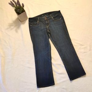 American Eagle Jeans Size 14 Artist Style